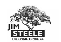Jim Steele Maintenance logo